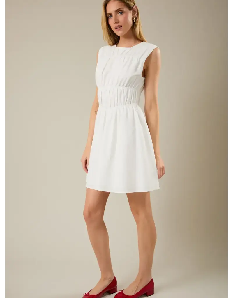 S&E Tessa Fit & Flare Mini Dress