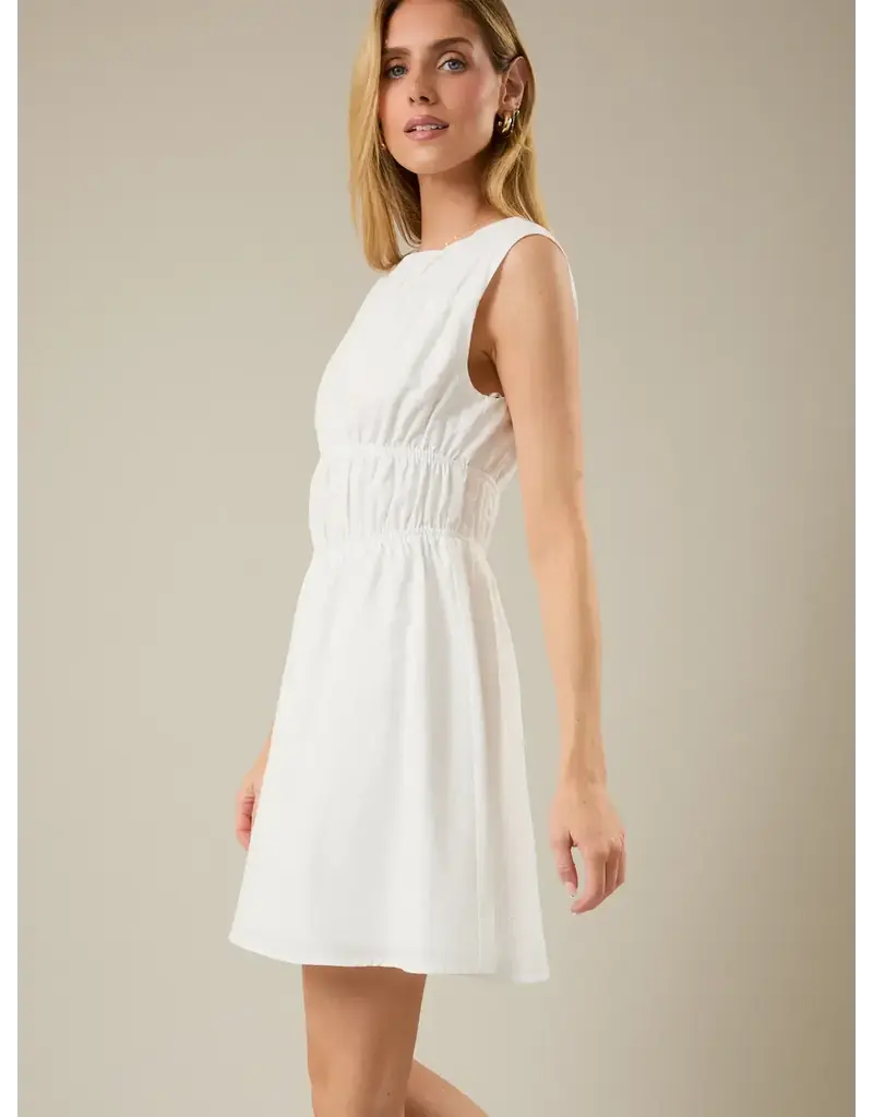 S&E Tessa Fit & Flare Mini Dress