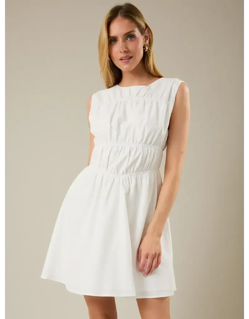 S&E Tessa Fit & Flare Mini Dress