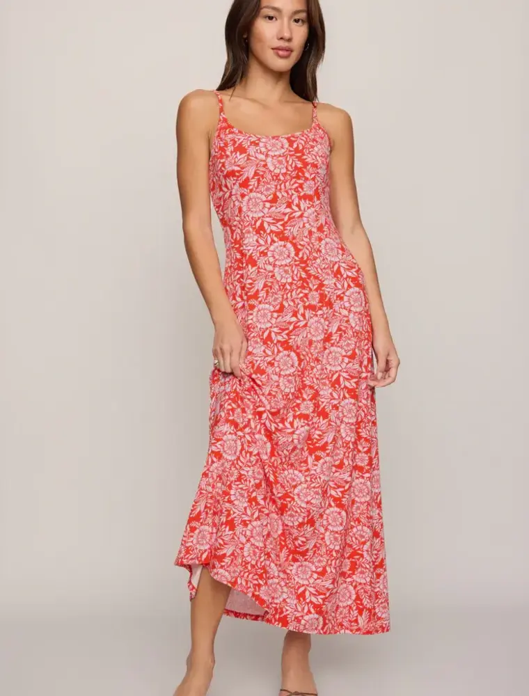 Z Supply Charisma Ona Floral Midi Dress