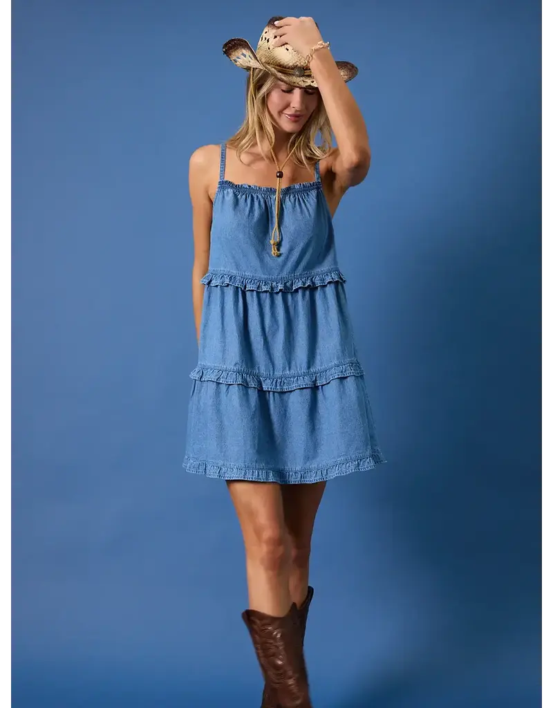 sun ed Ruffle Denim Mini Dress