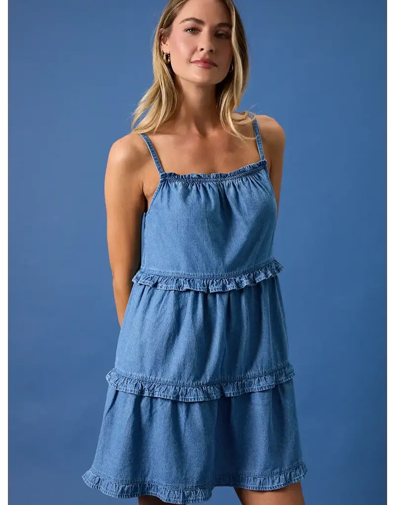 sun ed Ruffle Denim Mini Dress