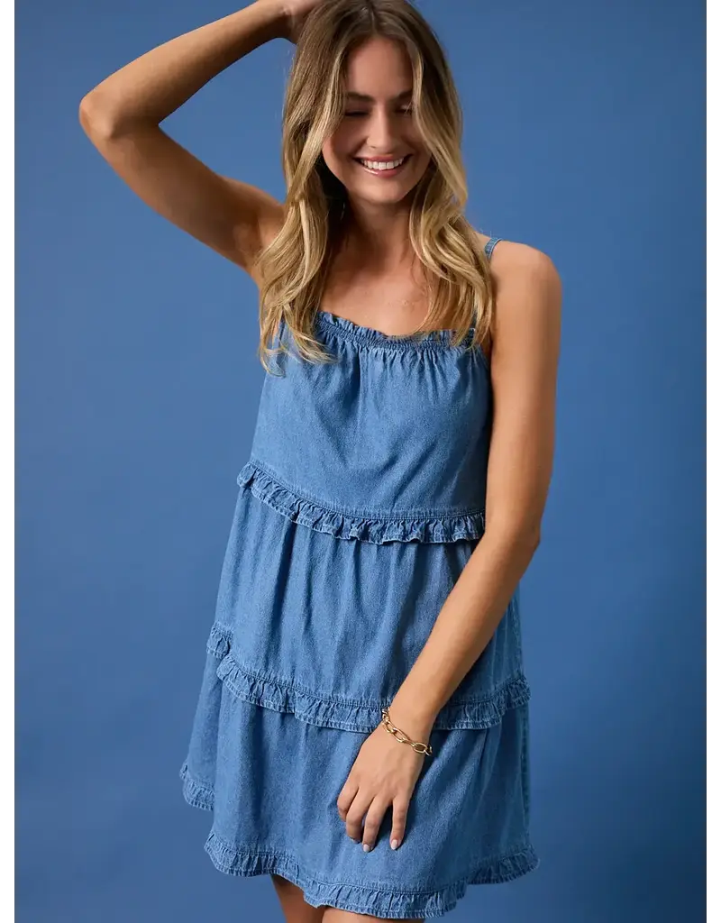 sun ed Ruffle Denim Mini Dress