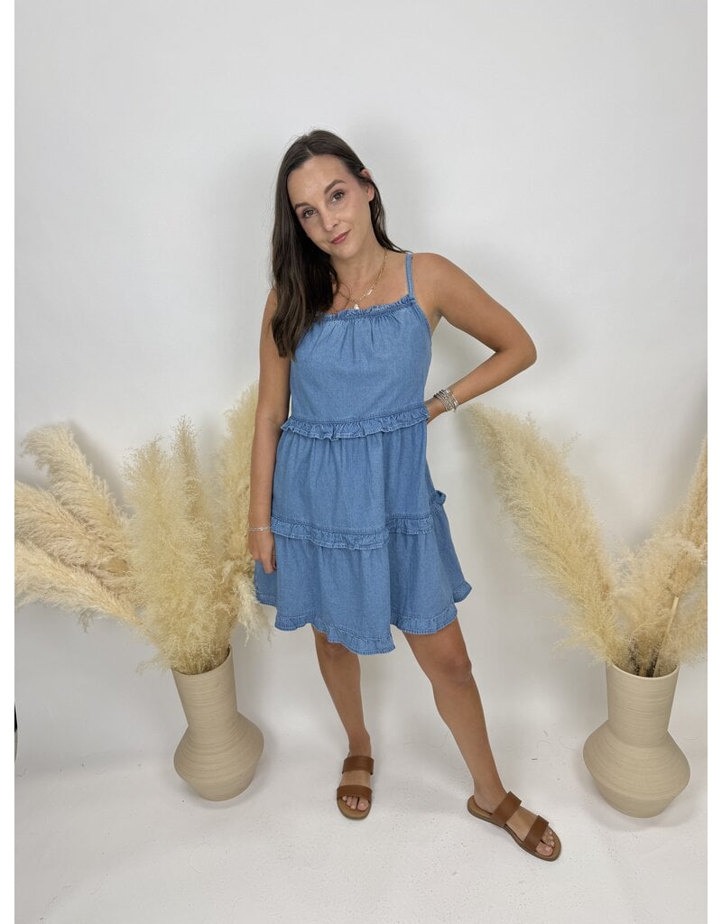 sun ed Ruffle Denim Mini Dress