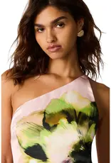 Steve Madden Mindy Floral Print High-Low Dress