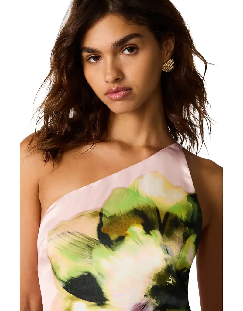 Steve Madden Mindy Floral Print High-Low Dress