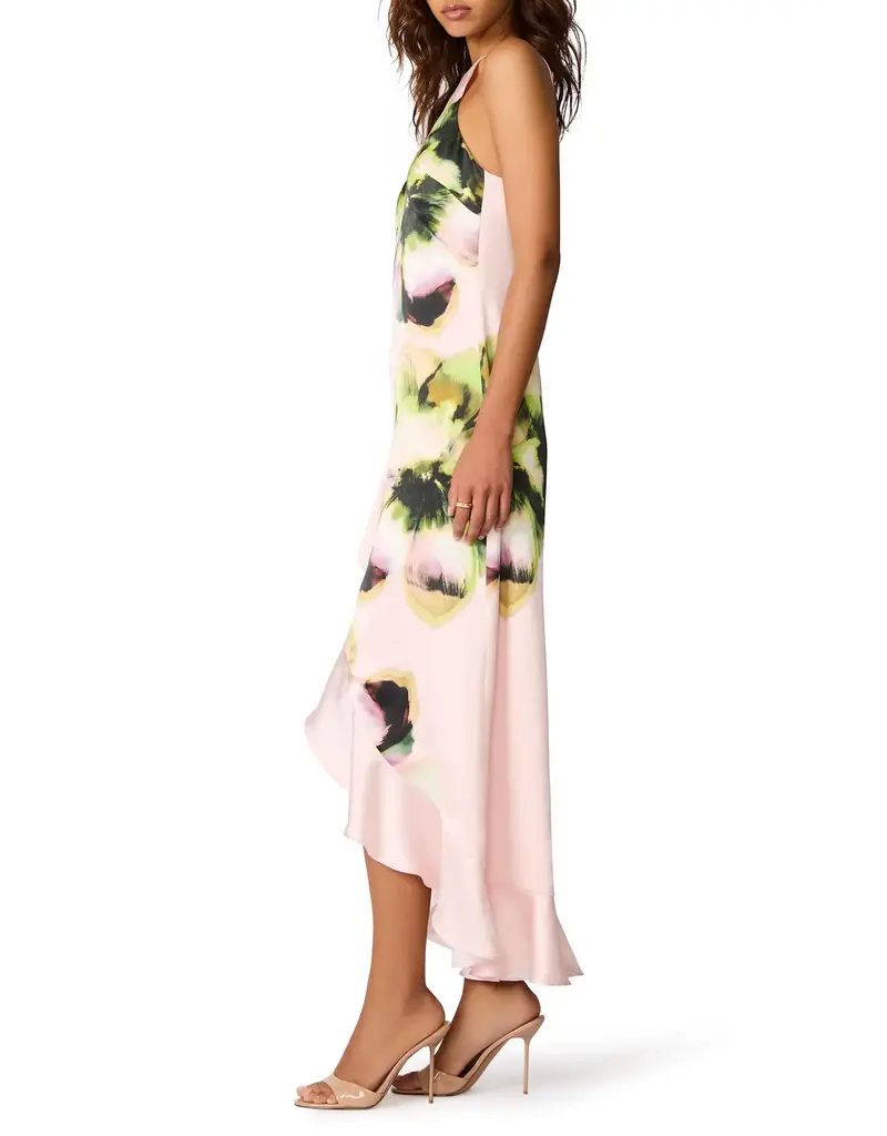 Steve Madden Mindy Floral Print High-Low Dress