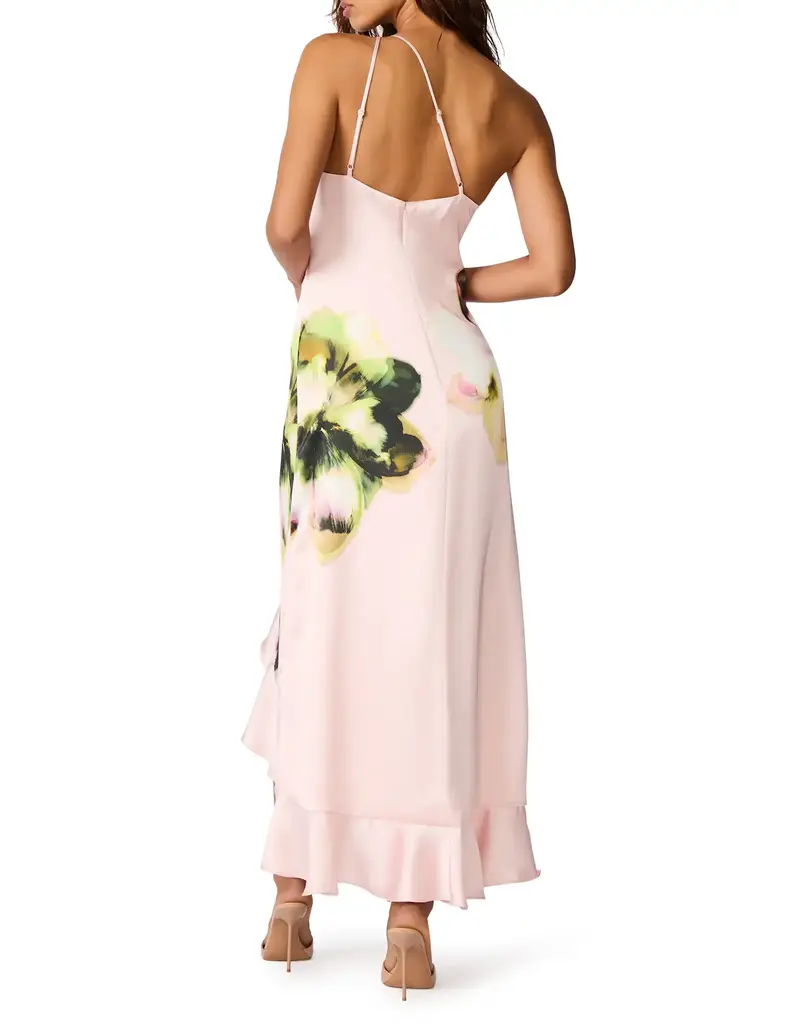 Steve Madden Mindy Floral Print High-Low Dress