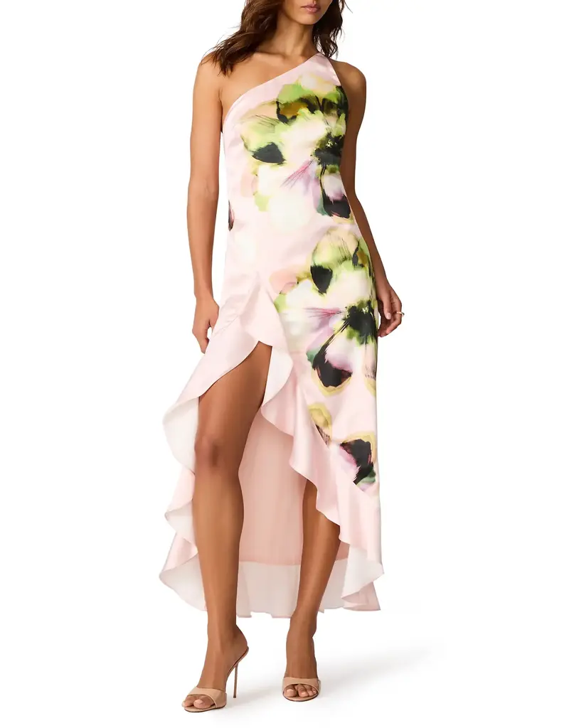Steve Madden Mindy Floral Print High-Low Dress
