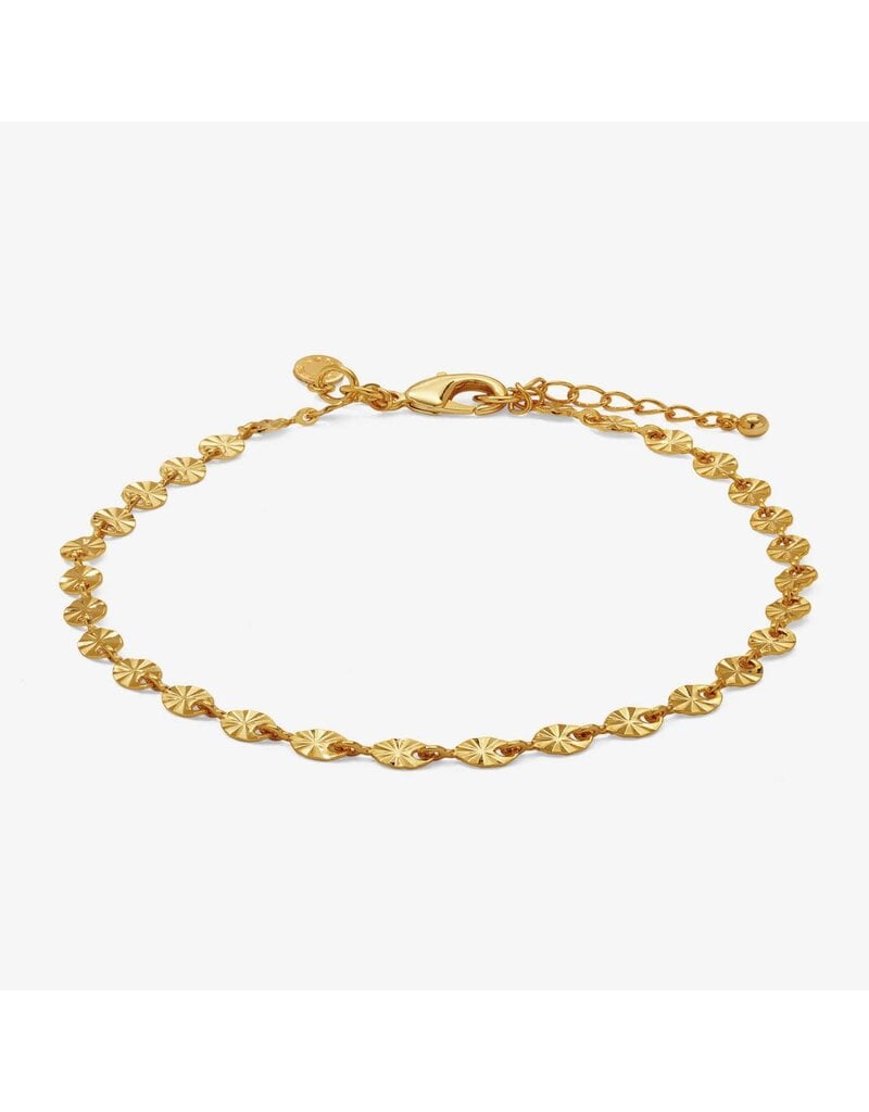 A Littles & Co. Sparkle Chain Anklet
