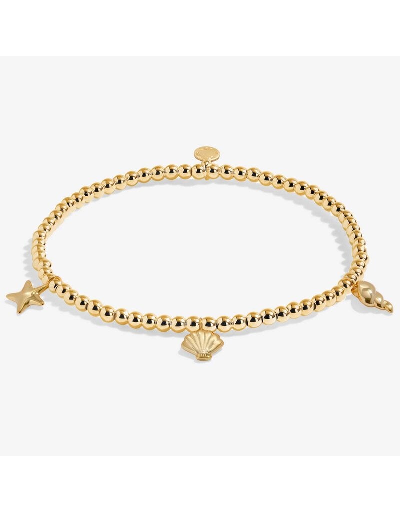 A Littles & Co. Anklet Shell Charms