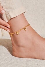 A Littles & Co. Anklet Shell Charms
