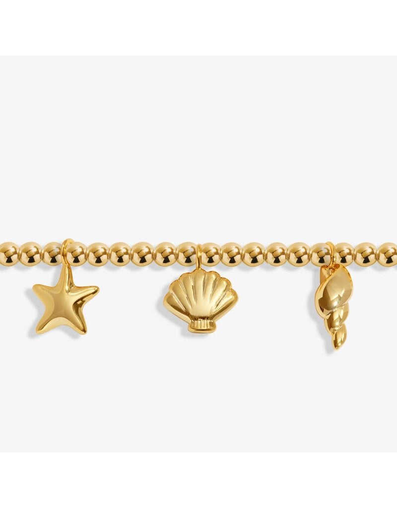 A Littles & Co. Anklet Shell Charms