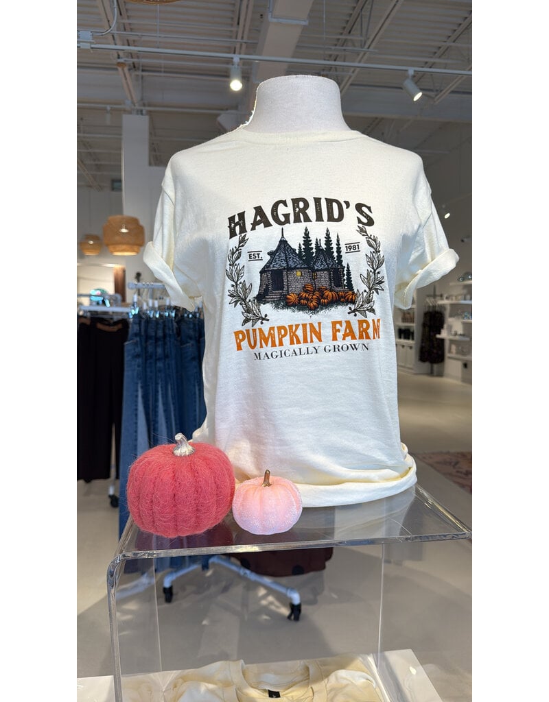 11 Hagrid's Hut Pumpkin Tee