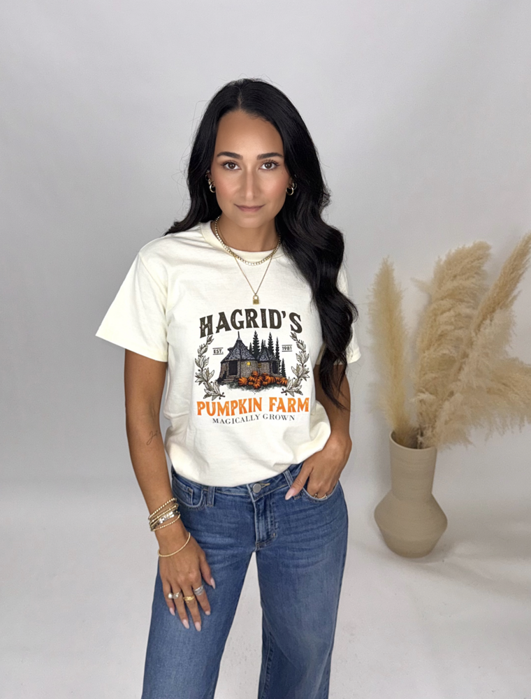 11 Hagrid's Hut Pumpkin Tee