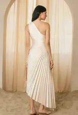 Dress Forum One Shoulder Pleated Maxi Dress