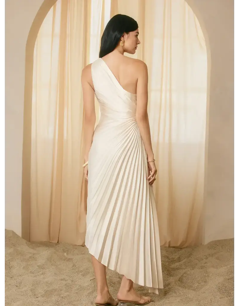Dress Forum One Shoulder Pleated Maxi Dress