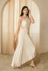 Dress Forum One Shoulder Pleated Maxi Dress