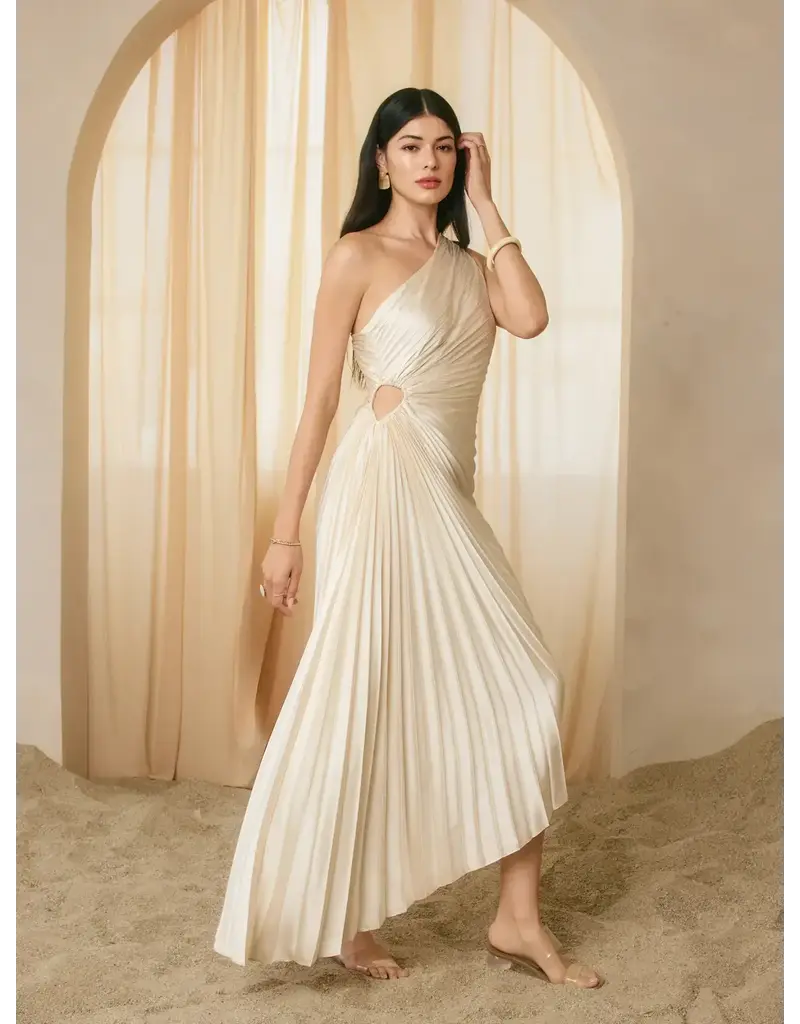 Dress Forum One Shoulder Pleated Maxi Dress