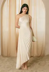 Dress Forum One Shoulder Pleated Maxi Dress