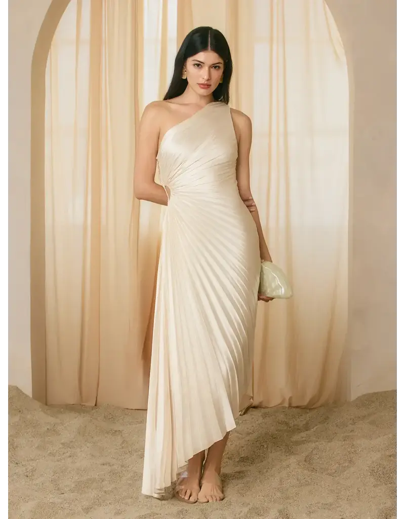 Dress Forum One Shoulder Pleated Maxi Dress