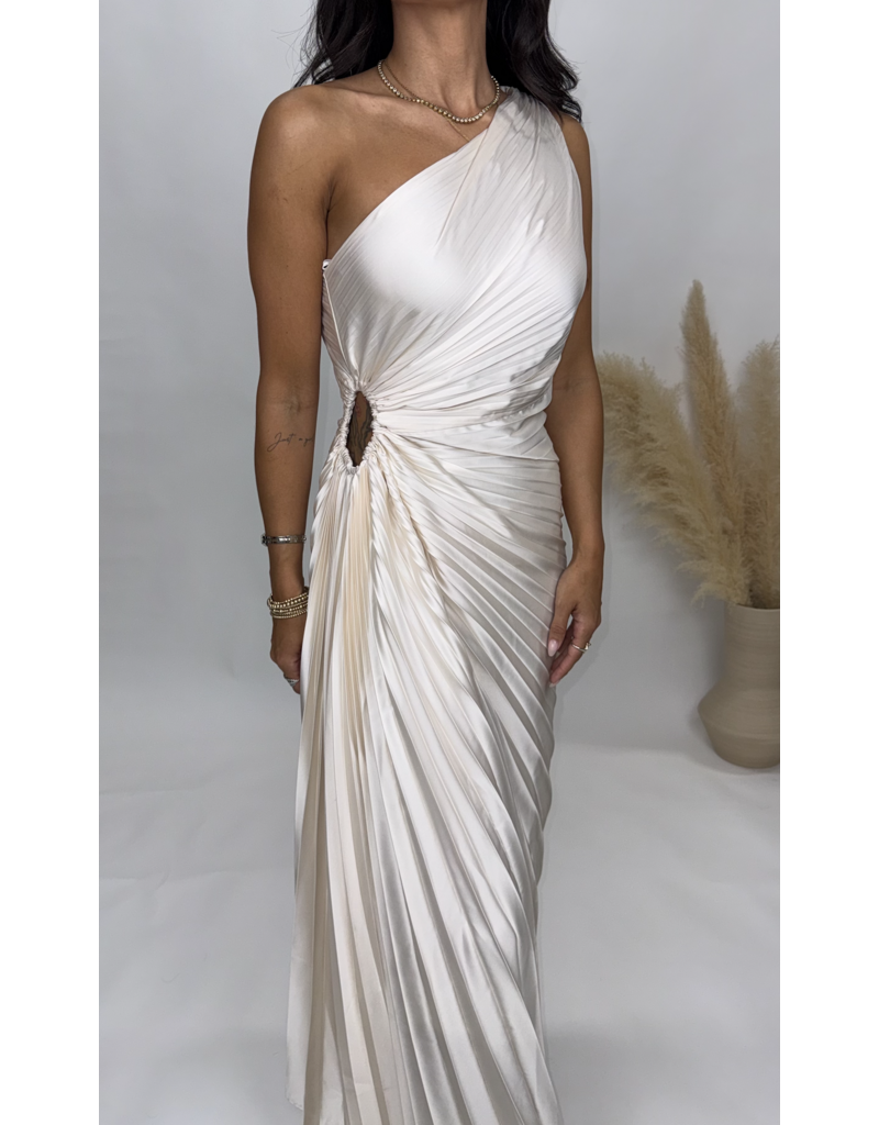 Dress Forum One Shoulder Pleated Maxi Dress