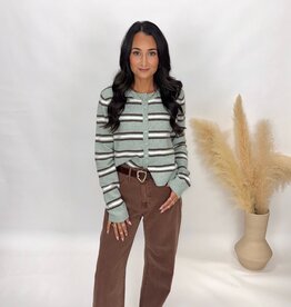 Z Supply Medina Stripe Cardigan