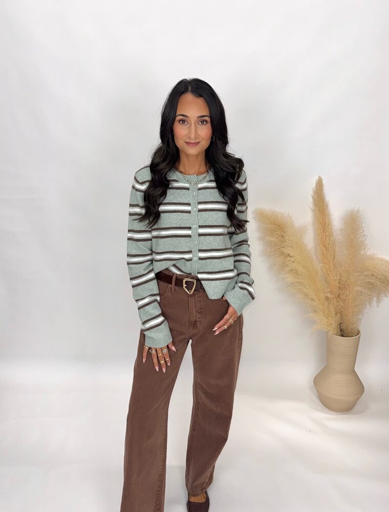 Z Supply Medina Stripe Cardigan