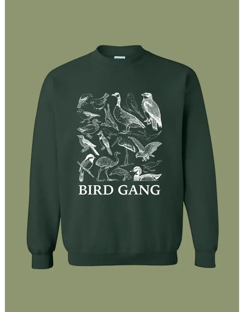 dainty studios Bird Gang Philly Crewneck