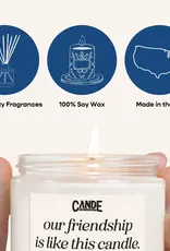 CE Craft Co Smells like an Eagles Win Philly Soy Wax Cande 8oz.