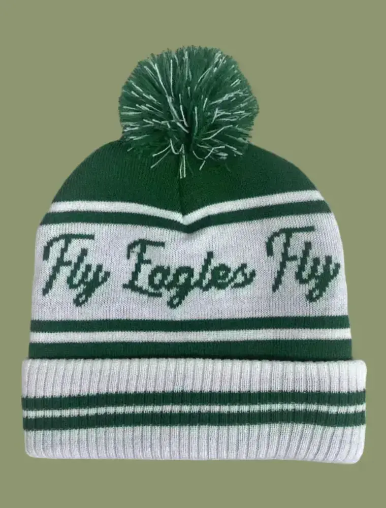dainty studios Fly Eagles Fly Unisex Beanie