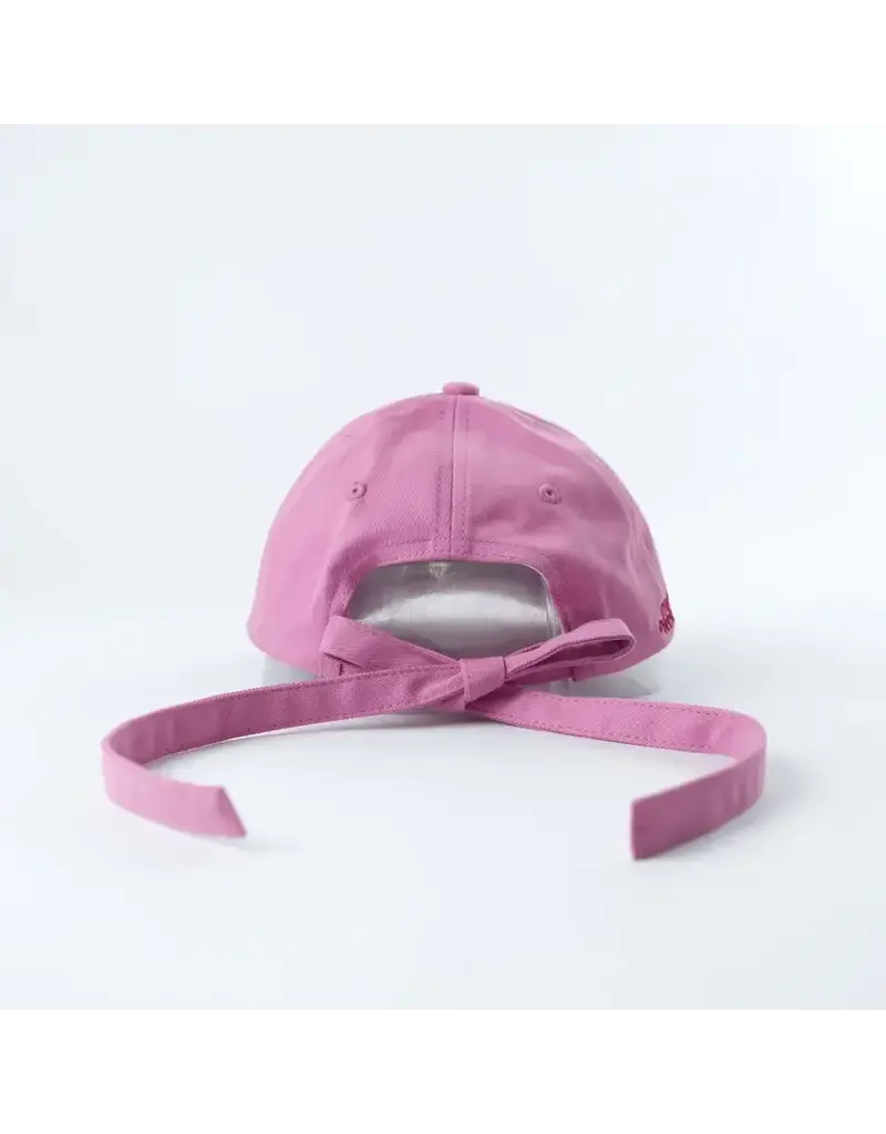 well versed goods Book Lovers Bookish Dad Hat