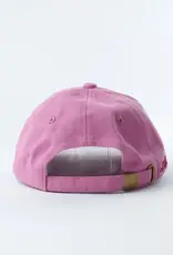 well versed goods Book Lovers Bookish Dad Hat