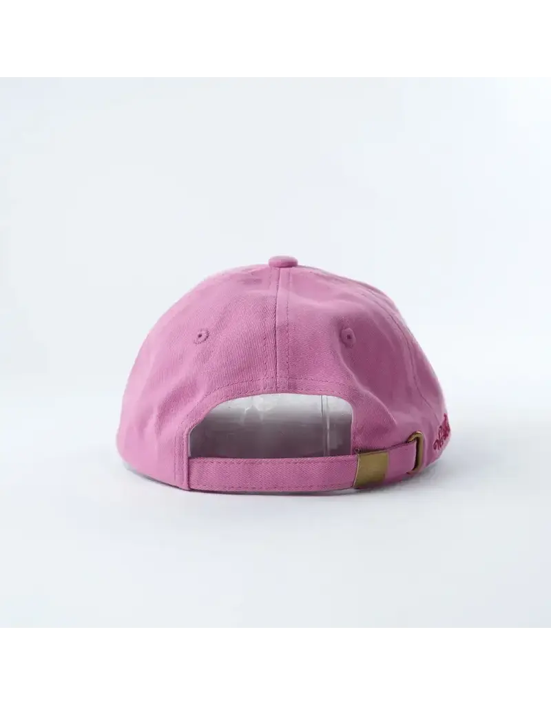 well versed goods Book Lovers Bookish Dad Hat