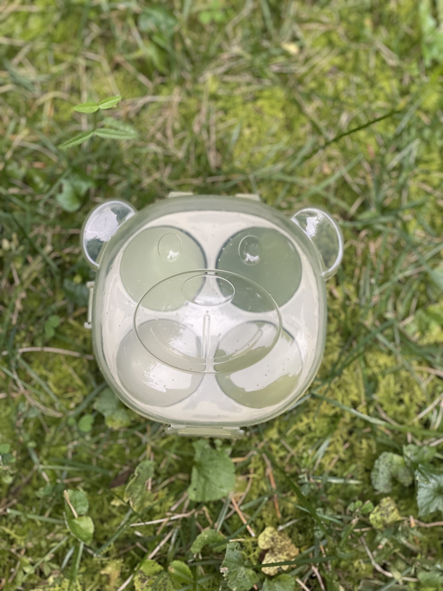 HSCo Beauty Makeup Blender Set for Facial Cleanser, Toner & Foundation in Bear Box -  green