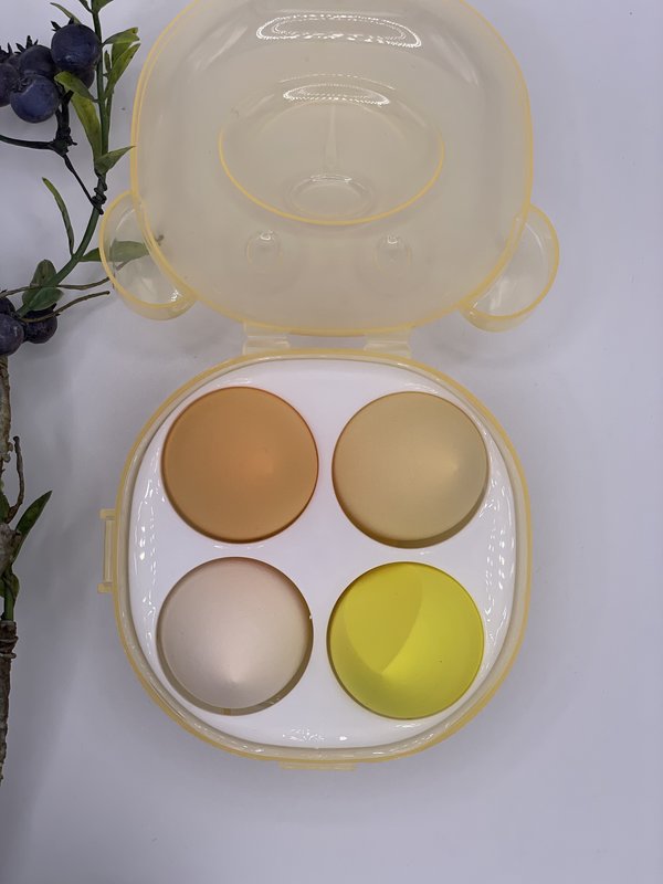 HSCo Beauty Makeup Blender Set for Facial Cleanser, Toner & Foundation in Bear Box - Yellow