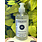 HSCo Sparkling Grapefruit - Versatile Wash