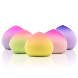 HSCo Rainbow Makeup Sponge / Puff