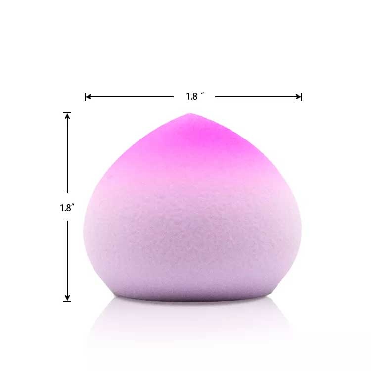 HSCo Rainbow Makeup Sponge / Puff