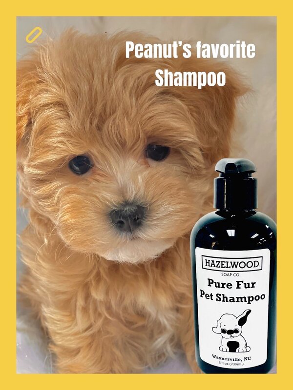 HSCo Pet Shampoo 8 oz