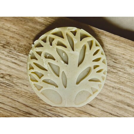 HSCo Glow & Shine Bar Soap - Sweet Earth