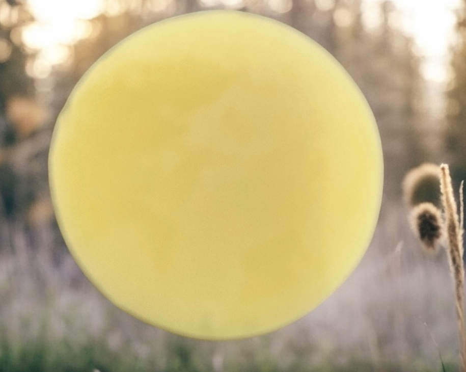 HSCo Shaving Bar Soap