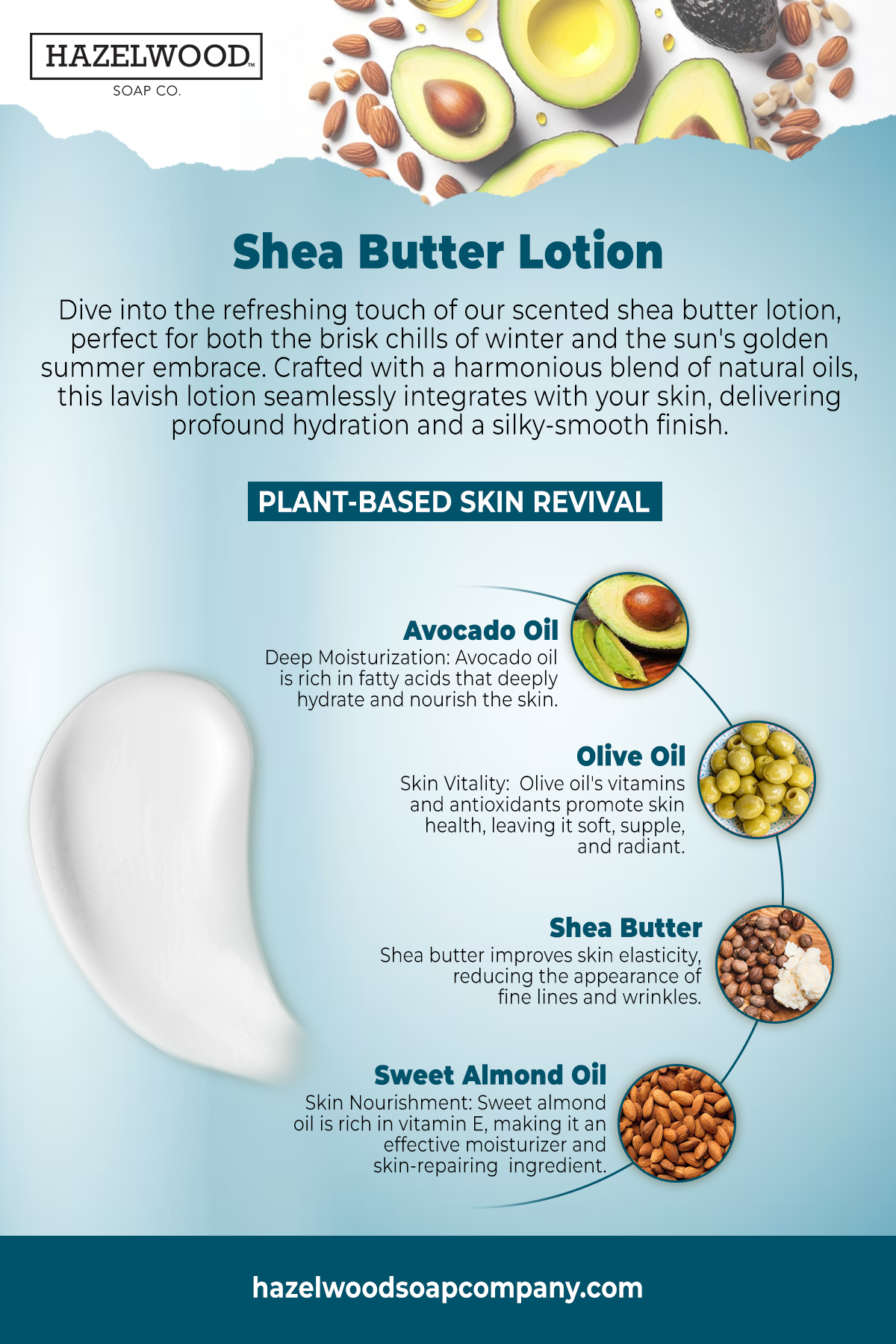 HSCo Frasier Fir - Shea Butter Lotion