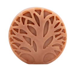 HSCo Glow & Shine Bar Soap - Sweet Earth