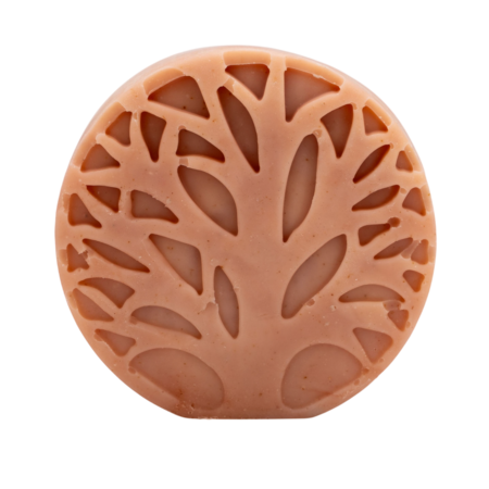 HSCo Glow & Shine Bar Soap - Sweet Earth