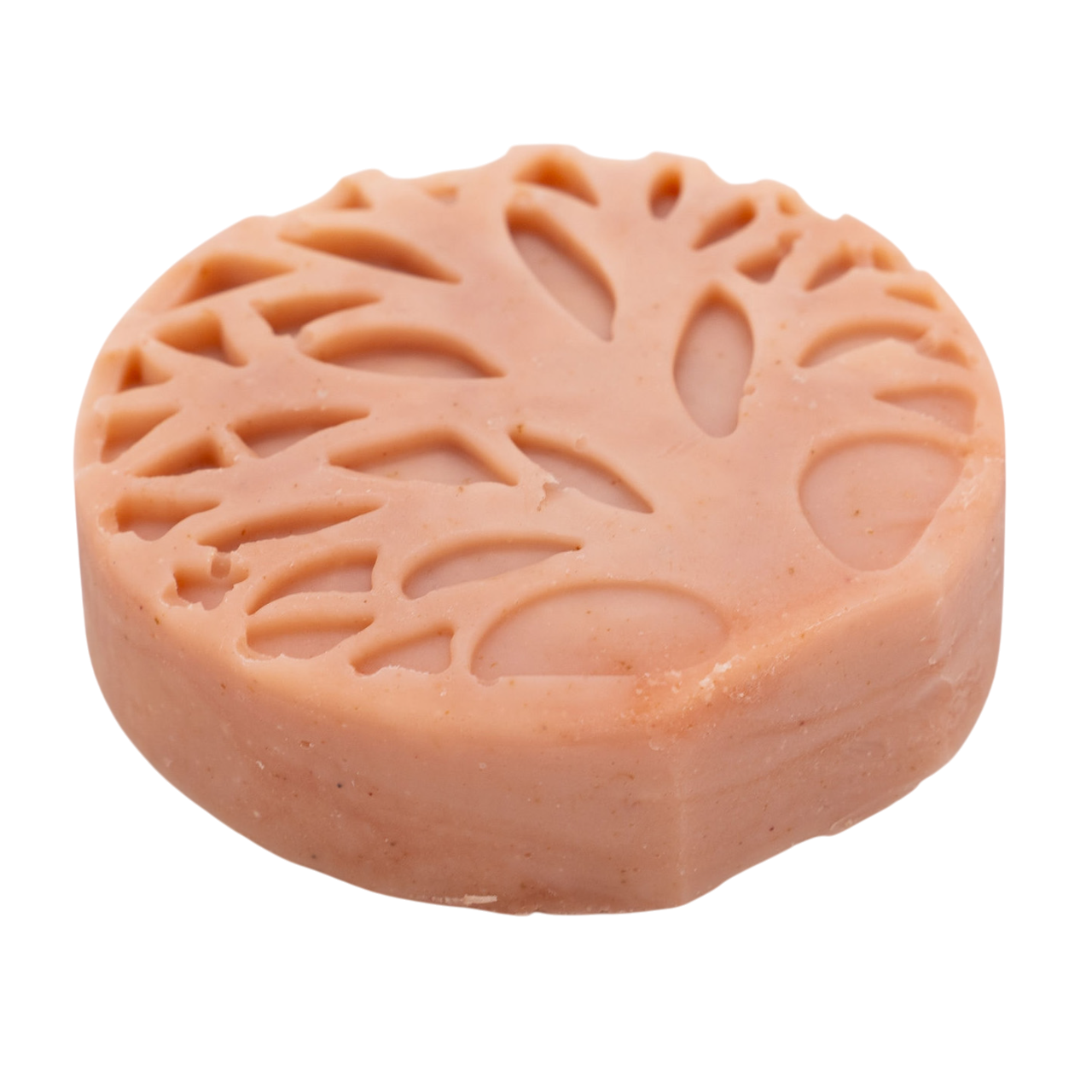 HSCo Glow & Shine Bar Soap - Sweet Earth