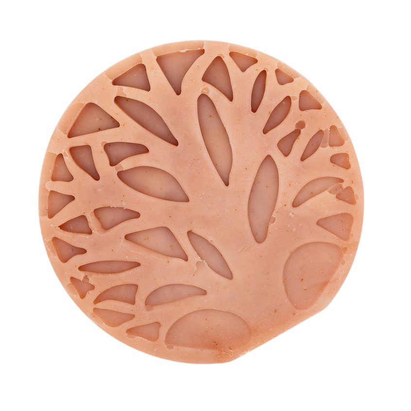 HSCo Glow & Shine Bar Soap - Sweet Earth