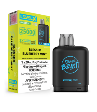 FLAVOUR BEAST LEVEL X LEVEL X FLAVOUR BEAST POD 25K ON BLESSED BLUEBERRY MINT