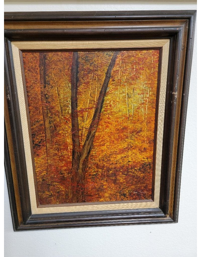 Fall Woods Tree Scenery - WF120