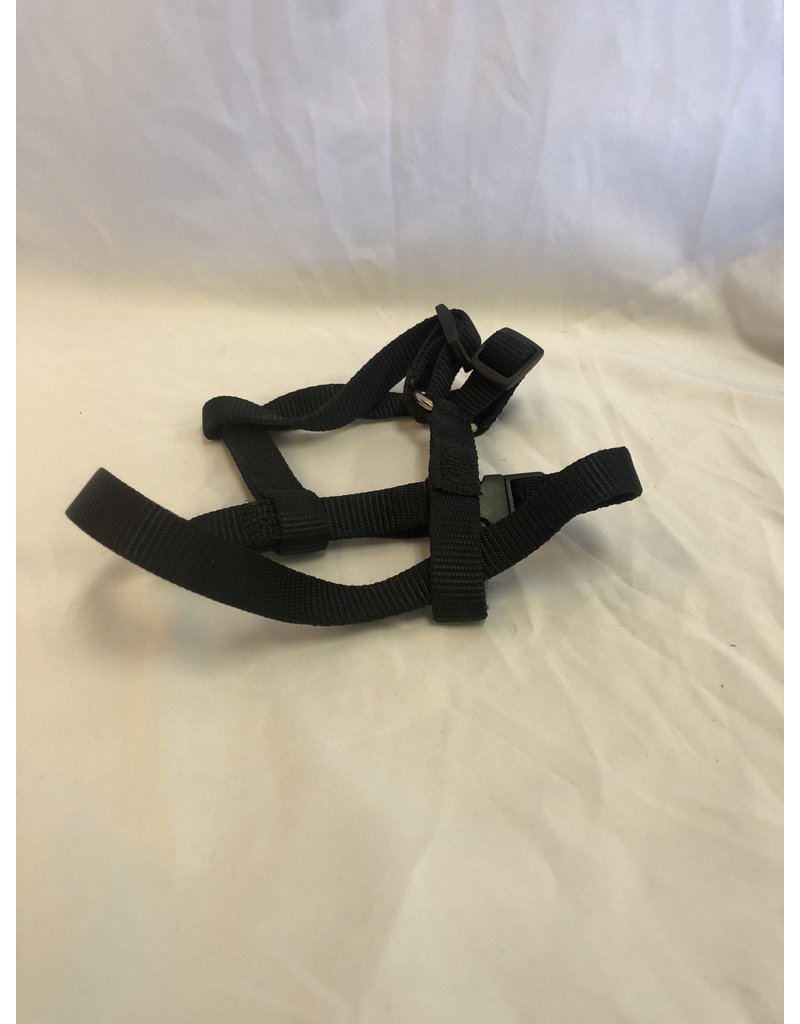 Black Dog Harness